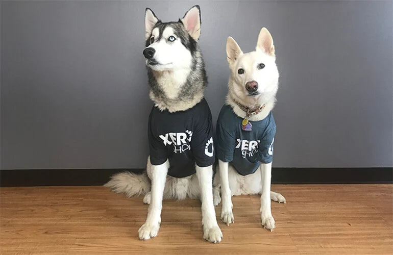 Xero T-Shirts